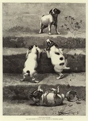 エクセルシオール